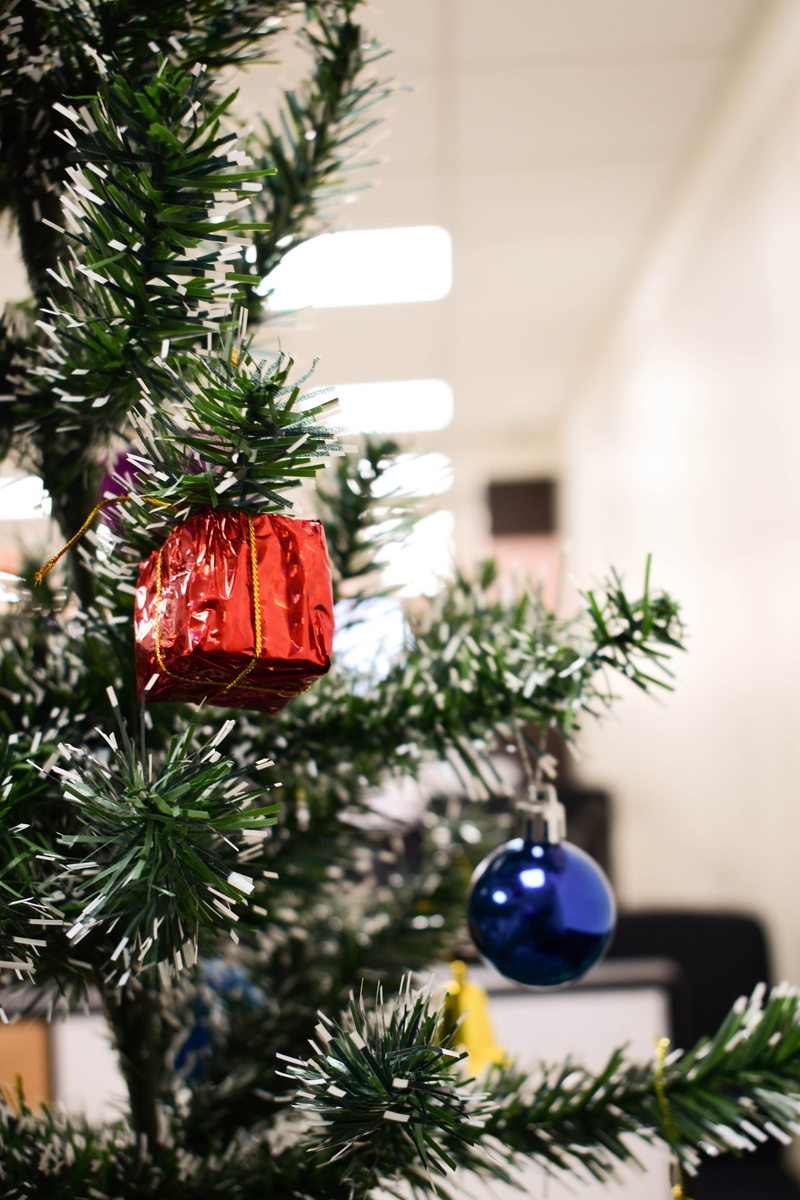 vacations, focus on foreground, new year, blur, season, gift, official, fir tree, christmastree, decoration, 2019, green color, winter, hanging, office