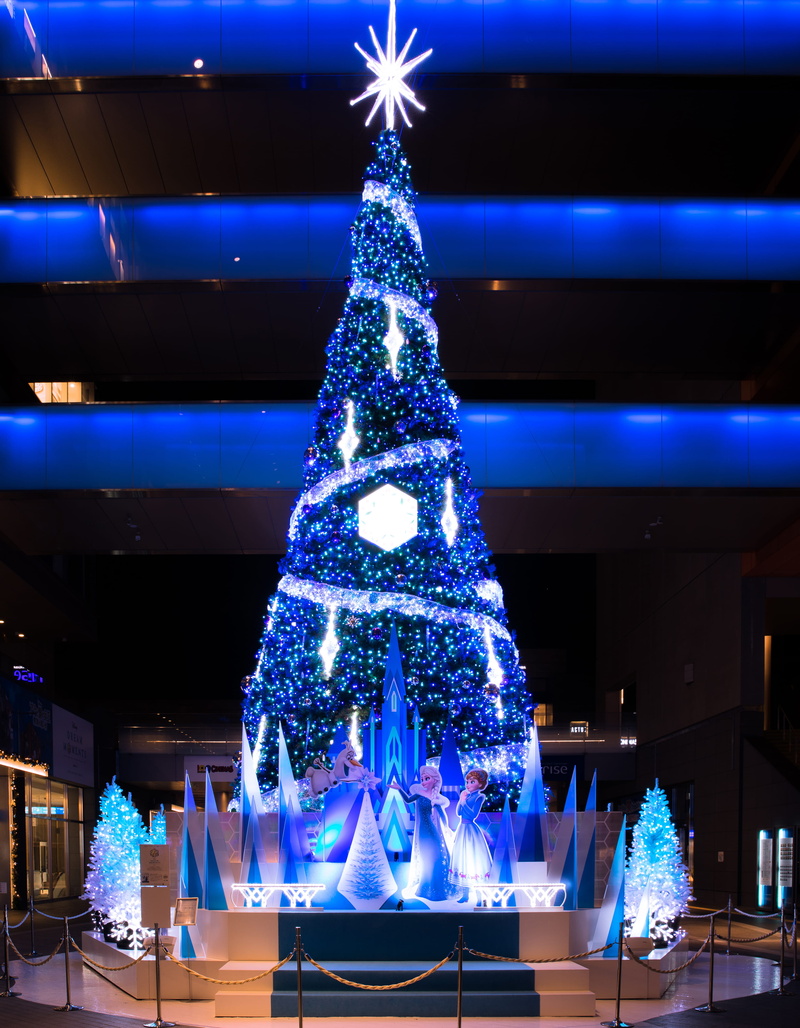 holiday - event, decoration, no people, plant, christmas, event, night, setagaya-ku, christmas tree, christmastree, illuminated, winter, tokyo, holiday