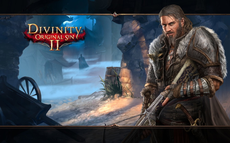 Divinity: Original Sin II, Video Game, 1080P