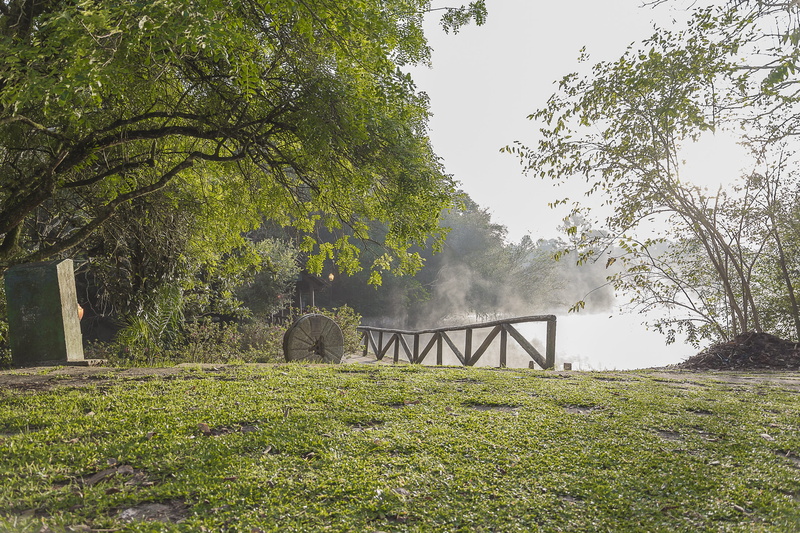 beauty in nature, day, bridge, ze, grass, tree, station, outdoors, araucaria, no people, 2K, field, built structure, animal, animal themes, time, architecture