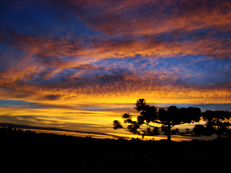 nature, no people, scenics - nature, silhouette, clouds, orange Color, dramatic sky, tranquil scene, environment, sun, awe, tree, cloud - Sky, sky, outdoors