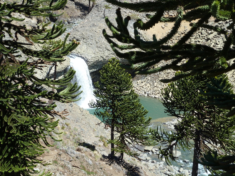 water, tree trunk, river, sunlight, rock, day, outdoors, scenics - nature, argentina, flowing water, tree, green color, beauty in nature, waterfall, no people