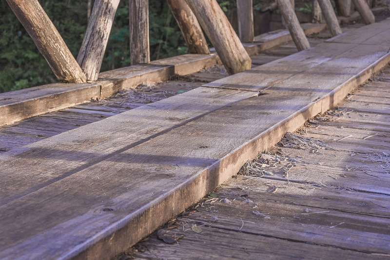 textured, high angle view, wood - Material, close-up, station, araucaria, built structure, nature, 2K, boardwalk, day, tree, no people, brown, time, outdoors