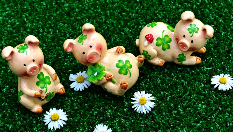 handful happiness, flower, ceramic, plant, freshness, animal representation, representation, 5K, lucky pig, figures, piglet, luck, three, lucky charm