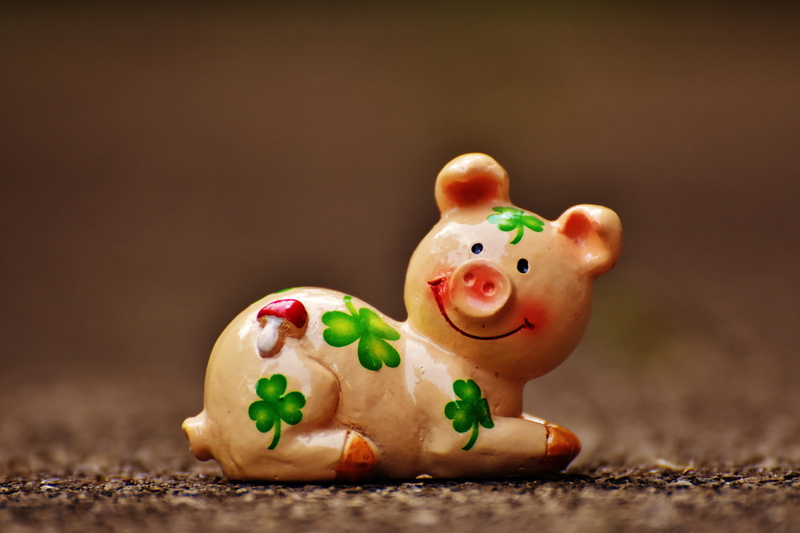 representation, lucky charm, indoors, luck, cookie, food and drink, sweet food, funny, still life, piglet, holiday, pig, cute, clover, new years day, 5K