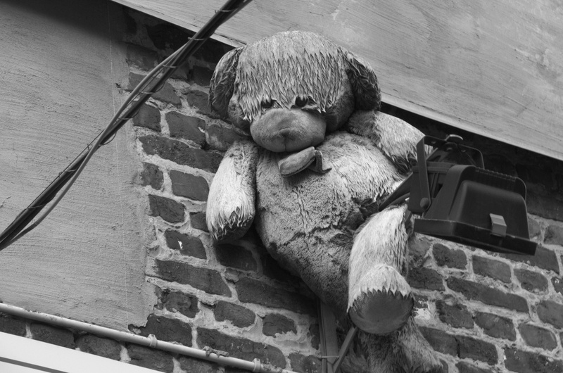 wall, wildlife, furniture, duel, representation, teddybear, 4K, belgium, brick, bear, wood, low angle view, teddy bear, bird, photo, grayscale, stuffed toy