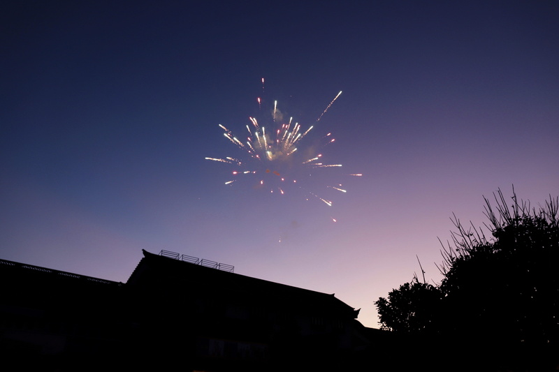 pink, building exterior, no people, firework - man made object, built structure, night, arts culture and entertainment, event, sky, nighttime, nature, high