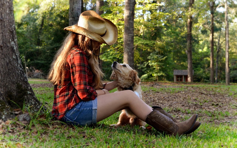 real, love, grass, sunset, animals, friendship, house, carefully, listen, 1080P, forever, girl
