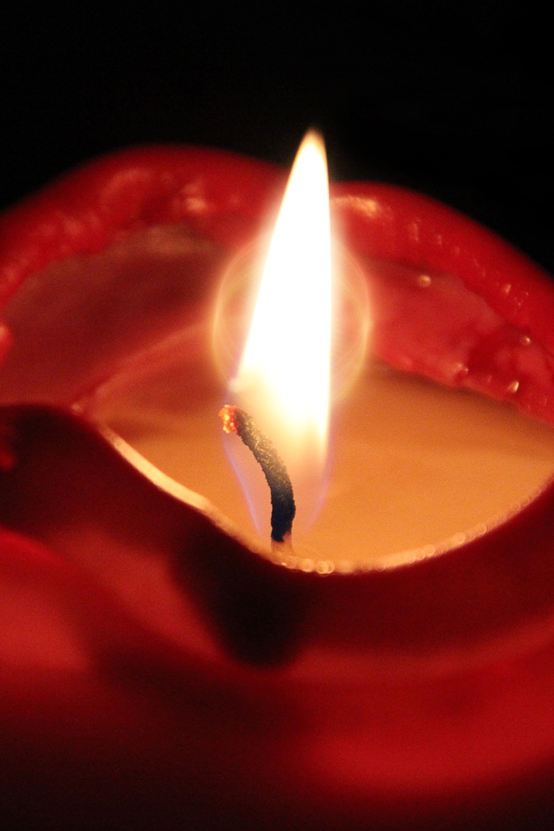 diya - oil lamp, dark, burning, no people, romance, close-up, heat - temperature, glowing, selective focus, candle, 4K, oil lamp, indoors, flame, lighting equipment