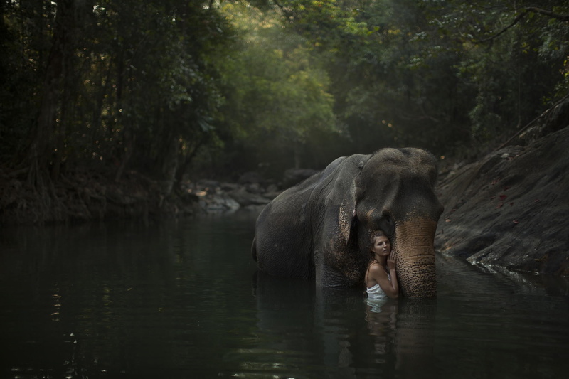animal themes, elephant, animal body part, river, brunette, animal head, women outdoors, animals in the wild, no people, wet, animal wildlife, outdoors