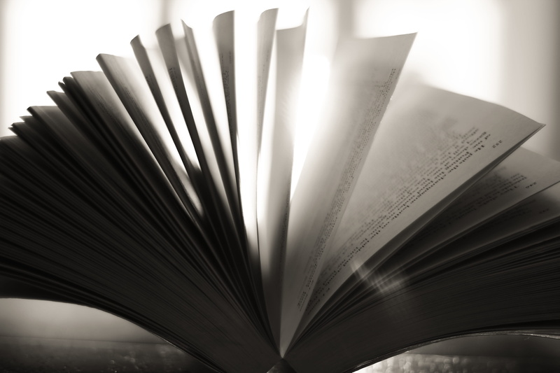 no people, literature, open, lighting, tabletop, communication, file, wisdom, education, gemstone, design, silhouette, pattern, close-up, text, paper, accessory
