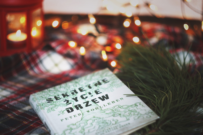 xmas, communication, decoration, girl, non-western script, christmas tree, text, illuminated, christmas, tree, belief, no people, scarf, zycie, book, candle