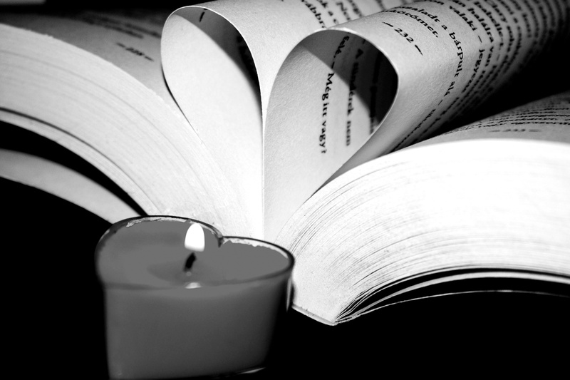 flowering plant, petal, page, close-up, love, indoors, white color, candle, no people, paper, nature, still life, fire, book, candle flame, heart, motion