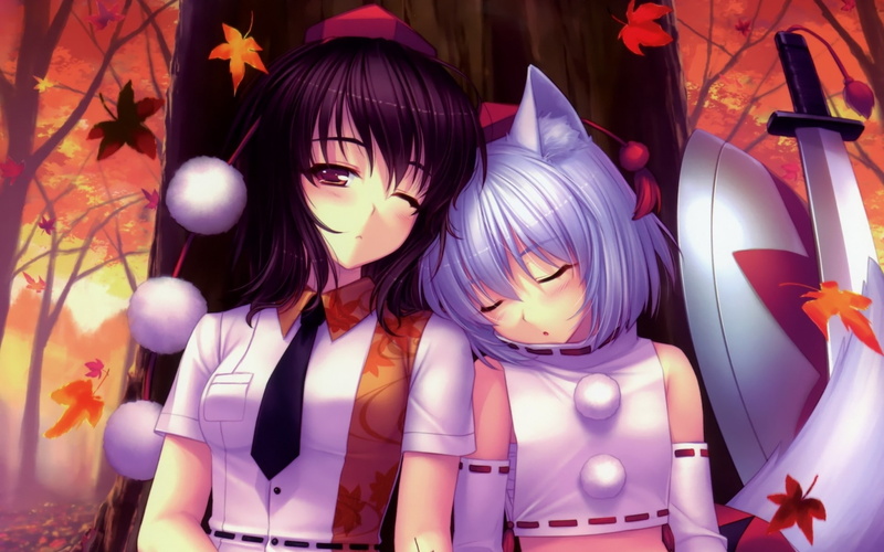 inumimi, inubashiri, shameimaru, neko, momiji, TIE, ears, art, Touhou, tengu, 1080P, animal, detached, sle, sayori, aya, hd, works