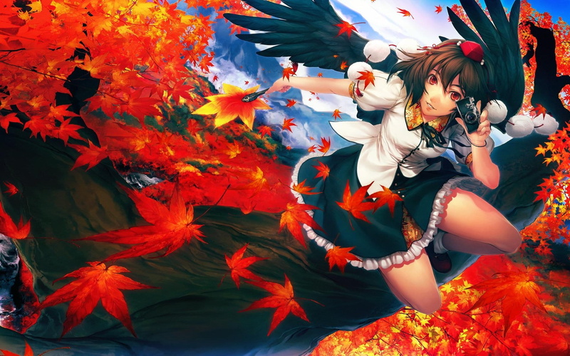 leaves, art, cameras, girls, eyes, shameimaru, Touhou, dress, hd, 1080P, red, tengu, wings, anime, aya, x