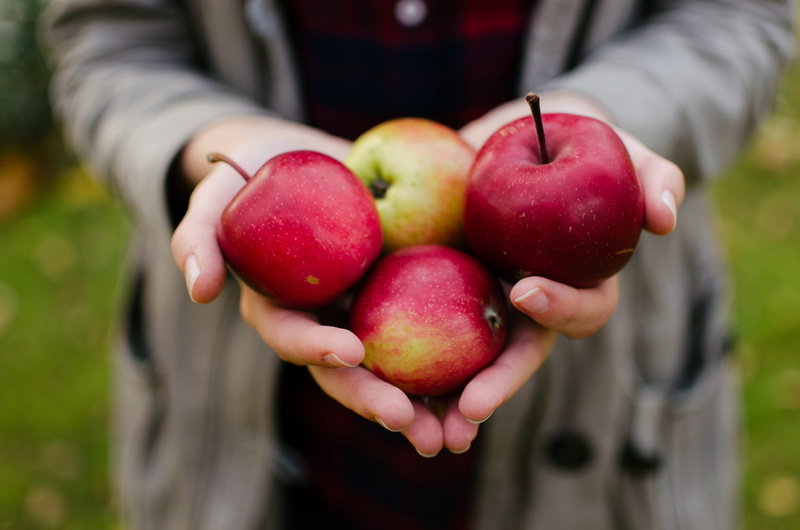 hands cupped, green, korpo, skärgård, fall, one person, focus on foreground, wellbeing, person, day, close-up, red, food, sinner, freshness, holding, hand