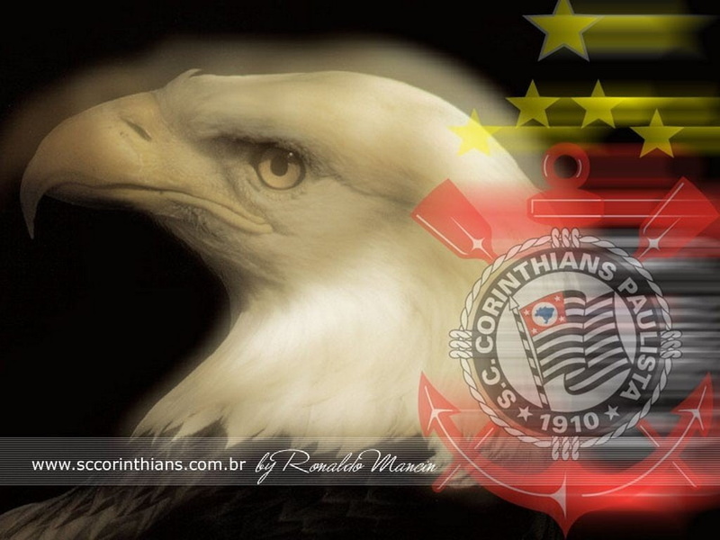 1024x768 px, 480P, brasil, px, hd, x, horses, animals, Corinthians, art