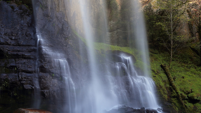 power, forest, falling water, outdoors, tree, scenics - nature, power in nature, water, rainforest, 4K, no people, blurred motion, rock - object, motion