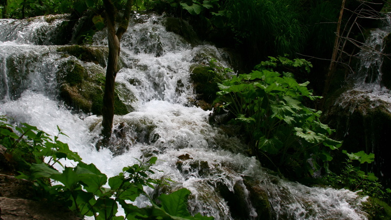 growth, land, falling water, scenics - nature, waterfall, 4K, long exposure, rainforest, flowing, latest new  nature scene 3840x2160, rock - object, motion
