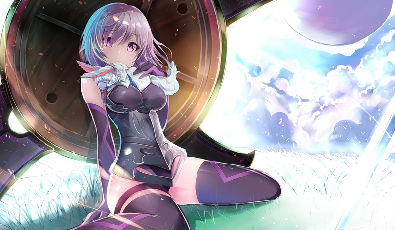 girl, 2K, fate/grand order, shield, fou, animal, anime, matthew kyrielite