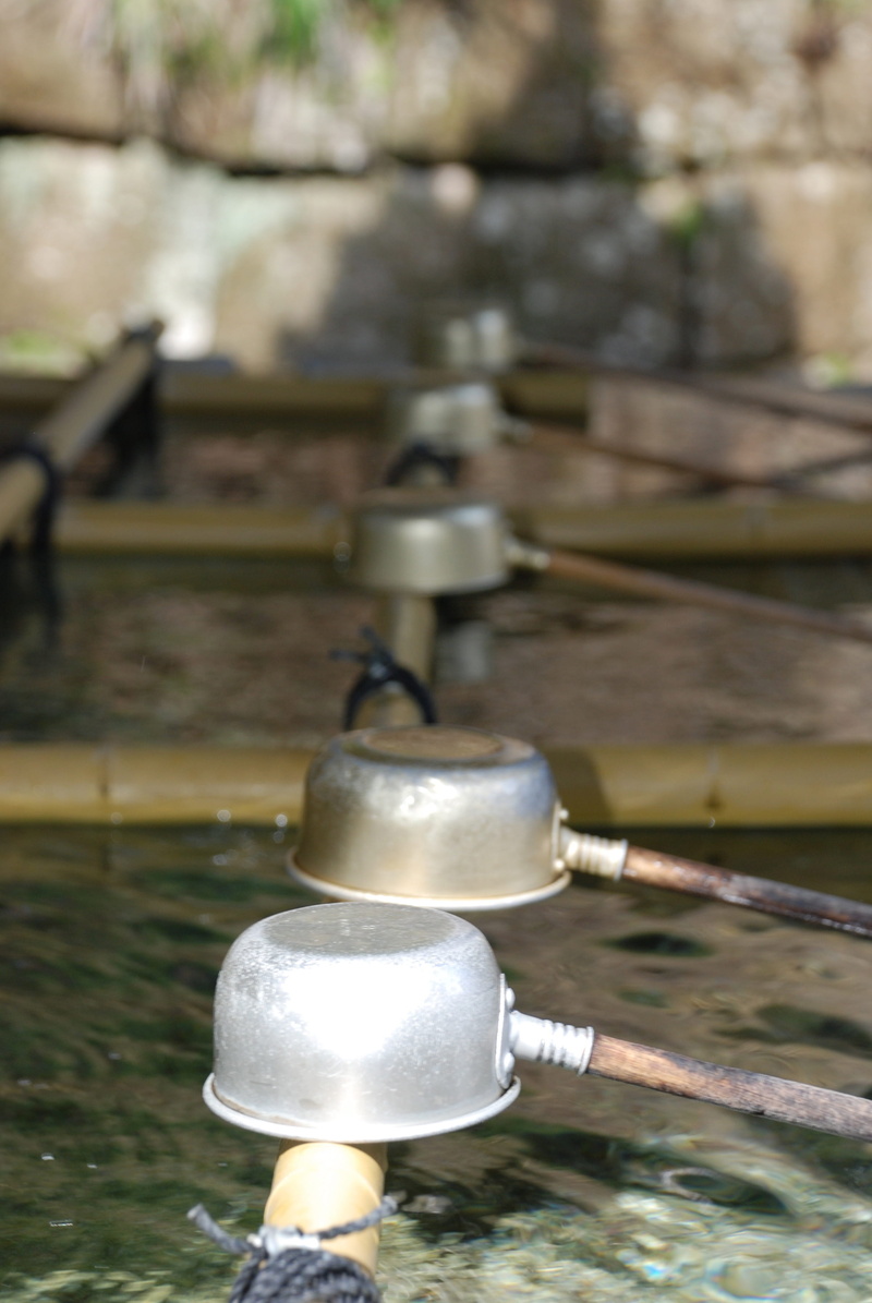 shrine, outdoors, belief, nature, japanese garden, lighting equipment, close-up, day, spirituality, no people, metal, religion, focus on foreground, cleanse