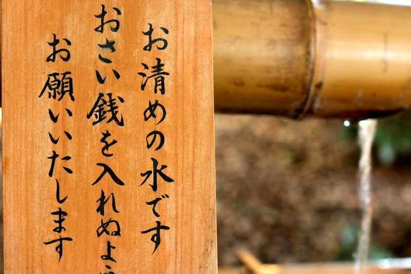 wood, water, indoors, liquid, studio shot, focus on foreground, prayer, ancient, food and drink, calligraphy, text, wood - material, religion, drink, non-western script