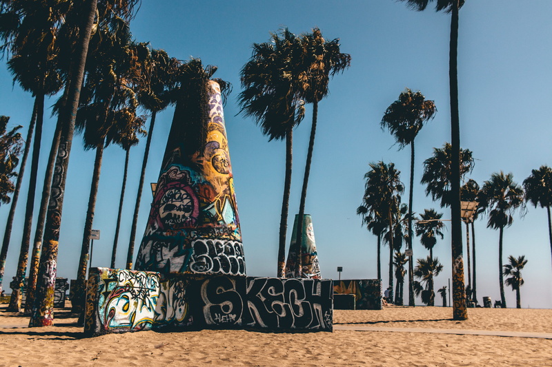 tree, 5K, nature, west coast, palm tree, building exterior, venice, united states, los angeles, growth, tropical climate, palmtree, venice beach, architecture
