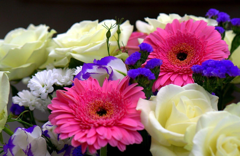 softness, plant, different, arrangement, bunch of flowers, summer, roses, multi Colored, indoors, freshness, black background, leaf, beauty, romance, no people
