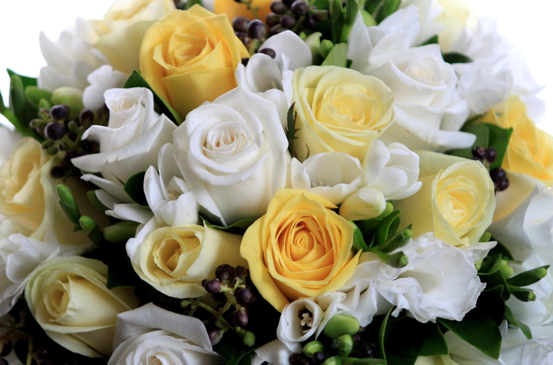 pink Color, plant, 2K, yellow, white color, decoration, gift, fragility, rose, bunch of flowers, rose - Flower, nature, backgrounds, event, elegance, petal