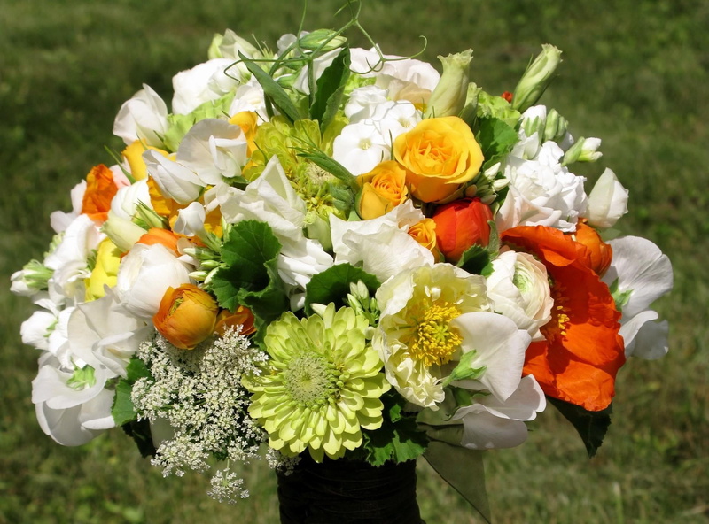 white color, summer, design, vulnerability, outdoors, flower Head, decoration, beauty In Nature, roses, inflorescence, composition, green, flowers, yellow