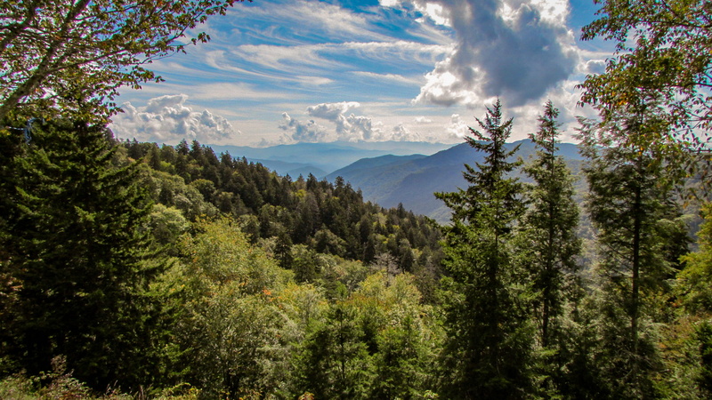 sky, united states, nature, green color, woodland, pine tree, outdoors, day, beauty in nature, mountain range, environment, scenics - nature, tranquil scene