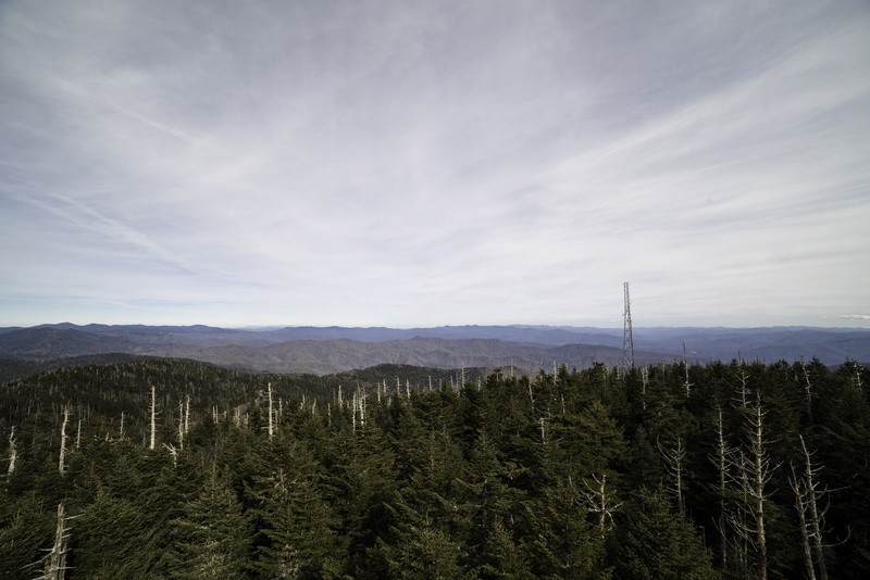 non-urban scene, day, s, tranquil scene, scenics - nature, photos, pine woodland, trees, outdoors, forest, tower, 5K, no People, sky, hills, landscape