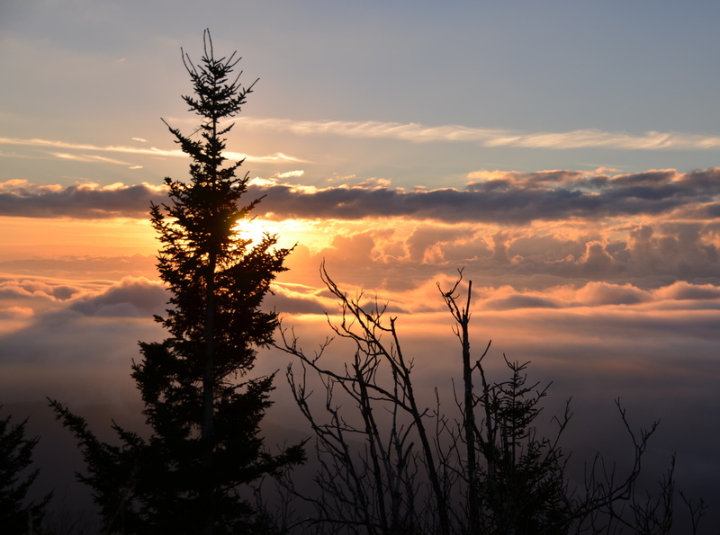 Clouds, Tennessee, Mountains, Nature, clingmans, smokies, spectacle, clingmansdome, October, Sunrise, Silhouette, Sun and Sky, Dome, unitedstates, 4K