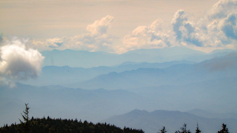 plant, united states, beauty in nature, tranquil scene, fog, mountain, sky, environment, scenics - nature, nature, clingmans dome visitor center, tree