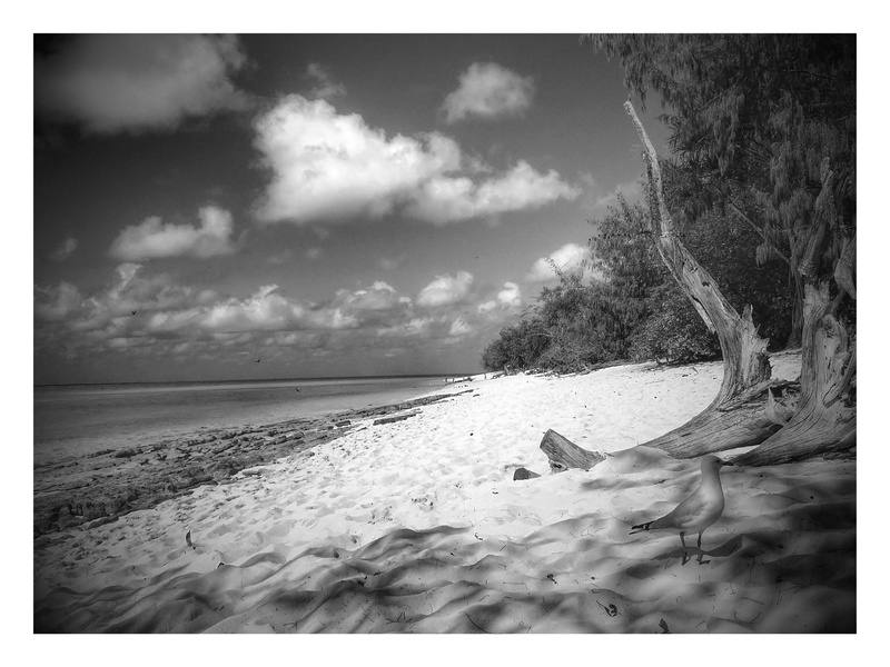great, reef, day, cloud - sky, australia, scenery, clouds, landscape, 2K, sun, sky, sea, nature, tranquil scene, auto post production filter, heron island
