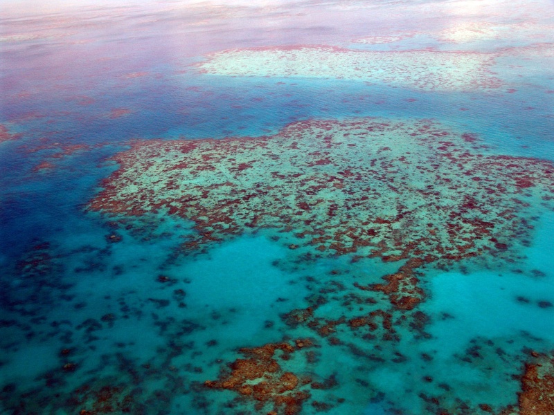 land, aerial, coral, daytime, sport, blue, ocean, sky, beauty in nature, aerial view, no people, waterfront, idyllic, sea, scenics - nature, australia