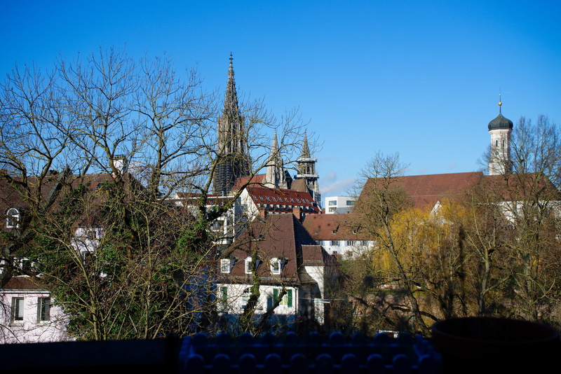 church, europe, City, city panorama, building, roofs, architecture And Buildings, nature, Cathedral, sun act, ulm, plant, built Structure, tower, dom, great
