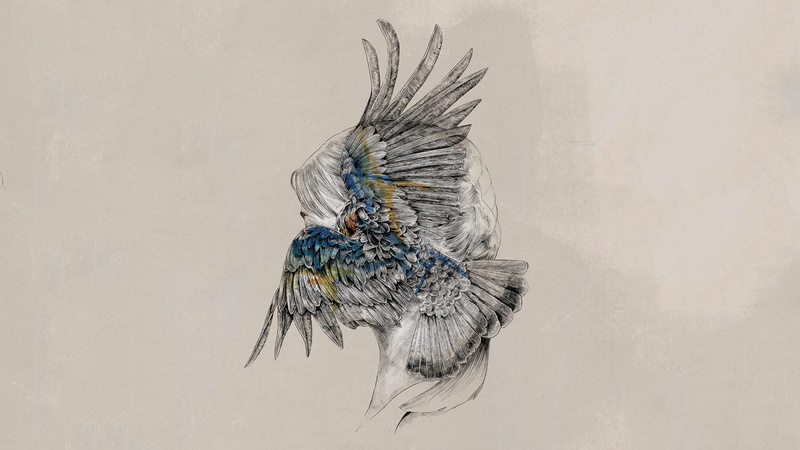 artwork, Tut Tut Child, feathers, 1080P, wings, Monstercat