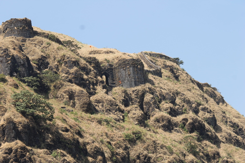 tranquility, tree, scenics - nature, rock, low angle view, mountain range, land, pune, beauty in nature, plant, 4K, clear sky, rock - object, no people