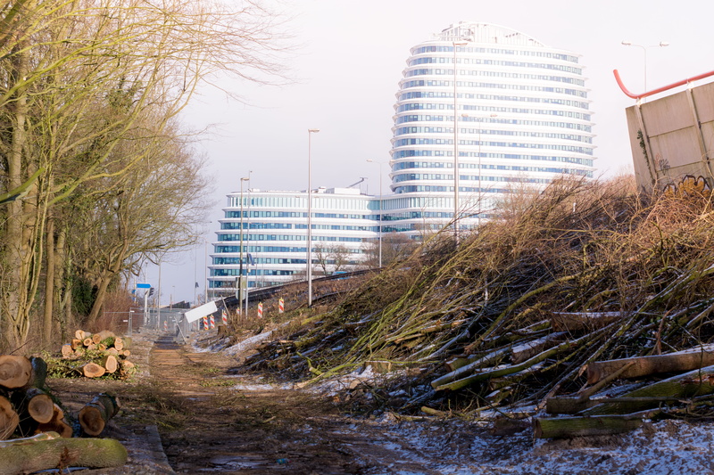 tree, building, netherlands, plant, office, building exterior, apartment, office building exterior, groningen, nature, city, skyscraper, 5K, built structure