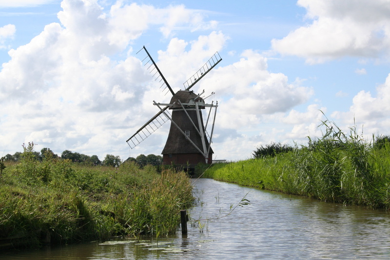 nature, wind power, sky, river, mill, fuel and power generation, old, plant, no people, cloud - sky, tree, turbine, environment, 2K, environmental conservation