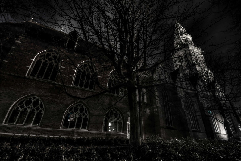 arch, plant, martini, chapel, belief, black and white, place of worship, nature, 4K, outdoors, branch, church, built structure, spirituality, bare tree