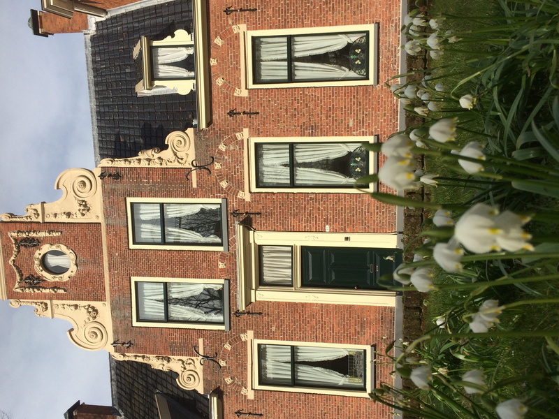 groningen, still life, building, wall, apartment, history, outdoors, wood - material, city, tree, brick, 2K, built structure, day, flowers, no people