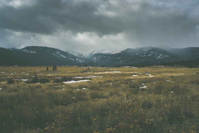 cloud, horse, beauty in nature, tranquility, tranquil scene, stormy, grass, storm, land, nieve, day, wild, mountains, plant, nature, 5K, sky, frio, tree