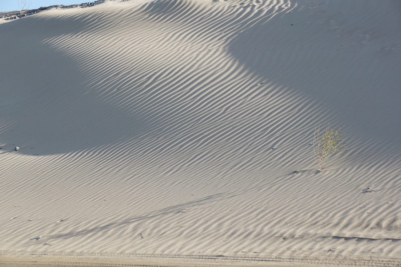 nobody, brave, travel, wave, foot, sand, tranquility, beach, hot, land, backgrounds, summer, mark, stripe, vacation, lonely, sunny, green, bright, holiday