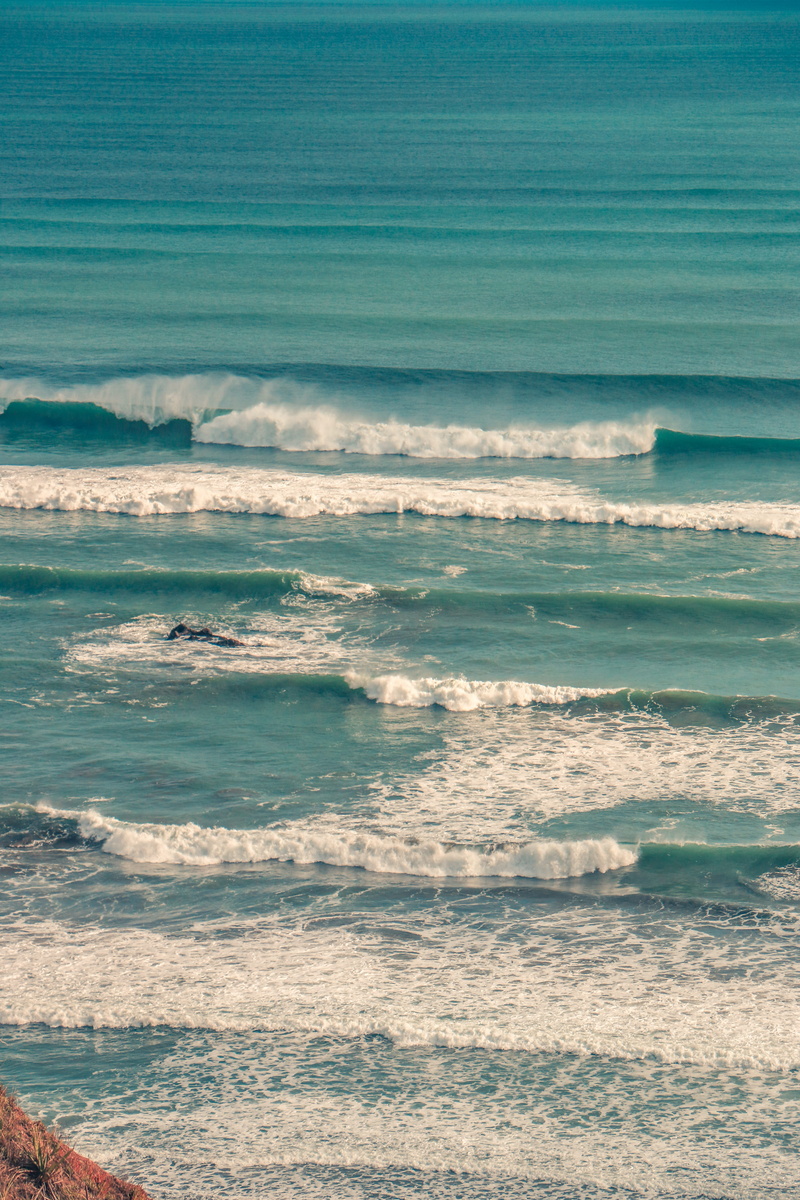 beauty in nature, tasman sea, beach, sea, new zealand, maori bay, day, ocean, land, aquatic sport, 5K, muriwai, water, nature, sport, sky, motion, horizon over water