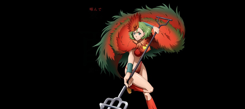 4K, Anime, Juuni Taisen, Ryōka Niwa