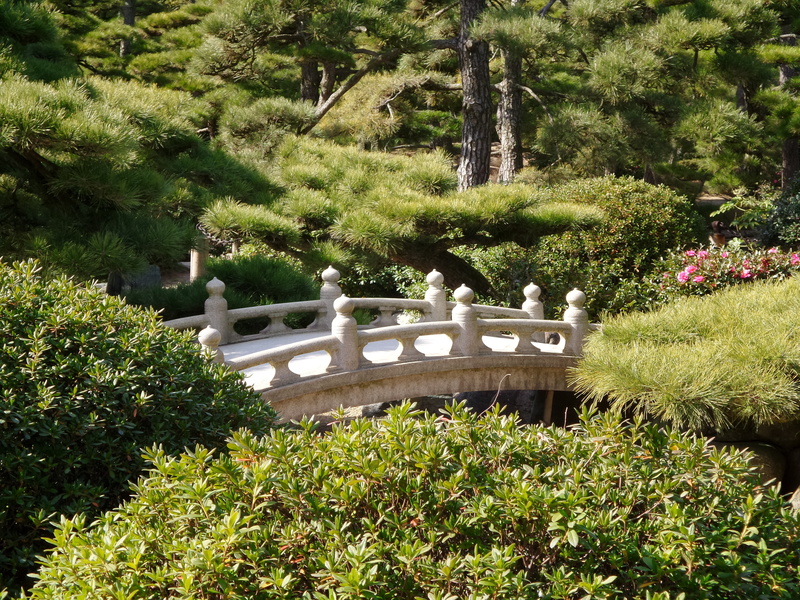 green color, no people, tree, foliage, lush foliage, flowering plant, day, formal garden, garden, niwa, green, tranquility, zen, takamatsu, growth, outdoors