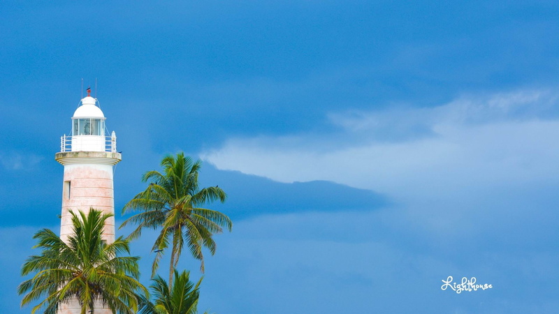 photo, tropical climate, beach, lighthouse, tree, day, guidance, travel, galle, coconut palm tree, architecture, building exterior, plant, sea, tower, palm tree