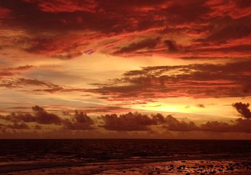 evening, horizon over water, nature, golden, cloud - sky, sunset, beach, land, sea, sky, the dutch fort, beautiful, beauty in nature, galle, 4K, idyllic